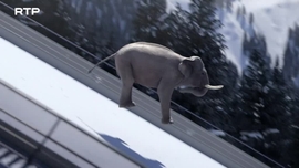 Imagem de Athleticus