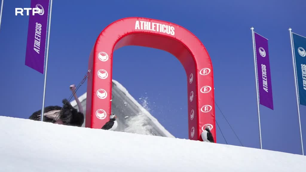 Imagem de Athleticus