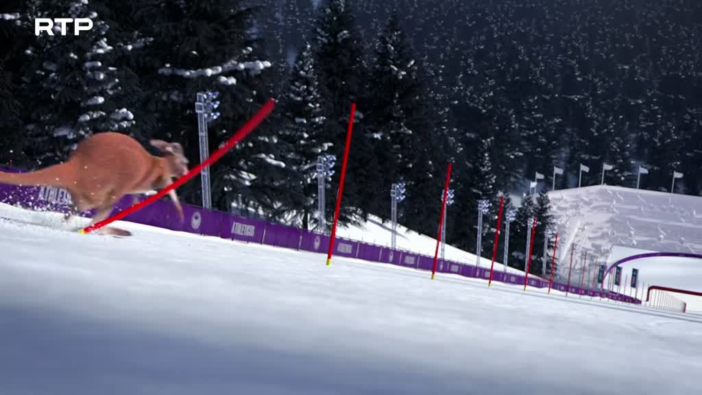 Imagem de Athleticus