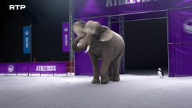 Imagem de Athleticus