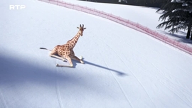 Imagem de Athleticus