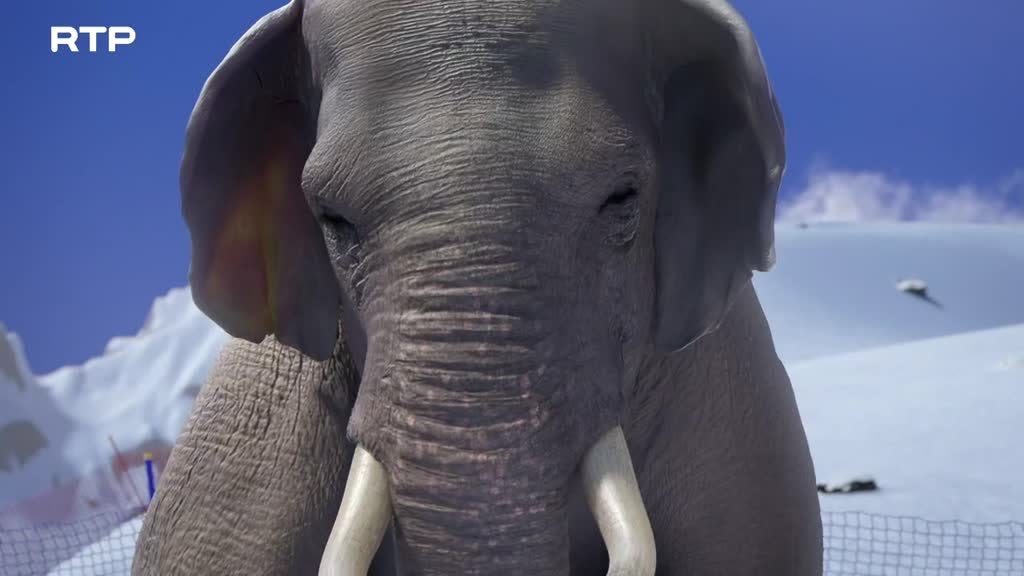 Imagem de Athleticus