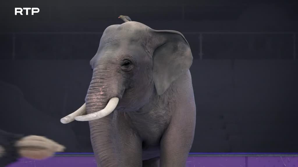 Imagem de Athleticus