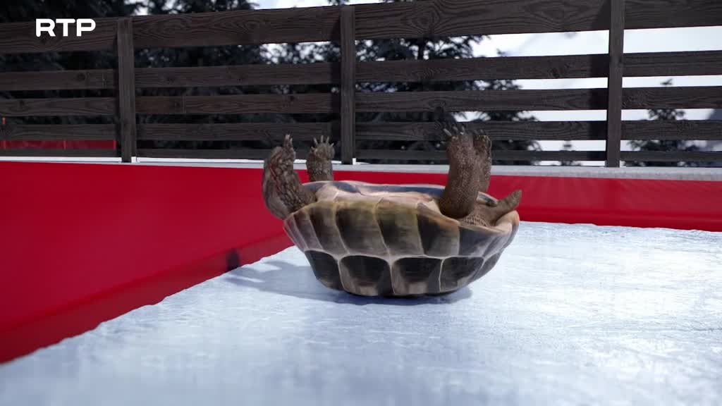 Imagem de Athleticus