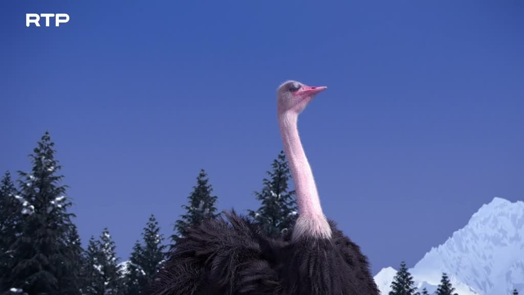 Imagem de Athleticus