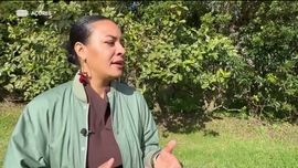 Imagem de Shawnette Martinho | S�o Miguel