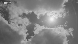 Imagem de Our Madness