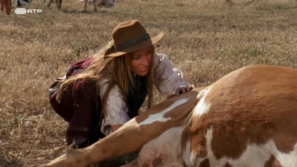 Imagem de Doutora Quinn