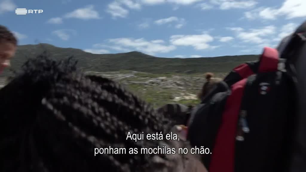 Imagem de Siyaya, Vem Aventurar-te Connosco! - O Cabo da Boa Esperança (I) - Algo Grande na Praia