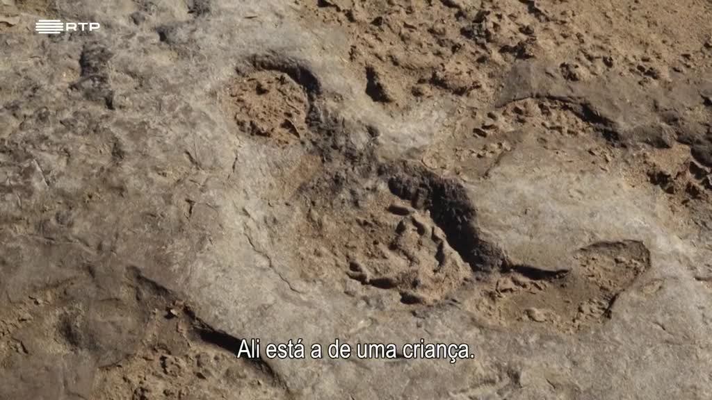 Imagem de Siyaya, Vem Aventurar-te Connosco! - O Deserto do Namibe (III) - Sobrevivendo à Costa dos Esqueletos