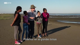 Imagem de O Deserto do Namibe (IV) - Sobrevivendo � Costa dos Esqueletos