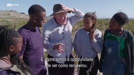 Imagem de O Cabo das Tormentas - (I) - Viagem At� V�nus