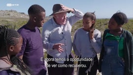 Imagem de O Cabo das Tormentas - (I) - Viagem At� V�nus