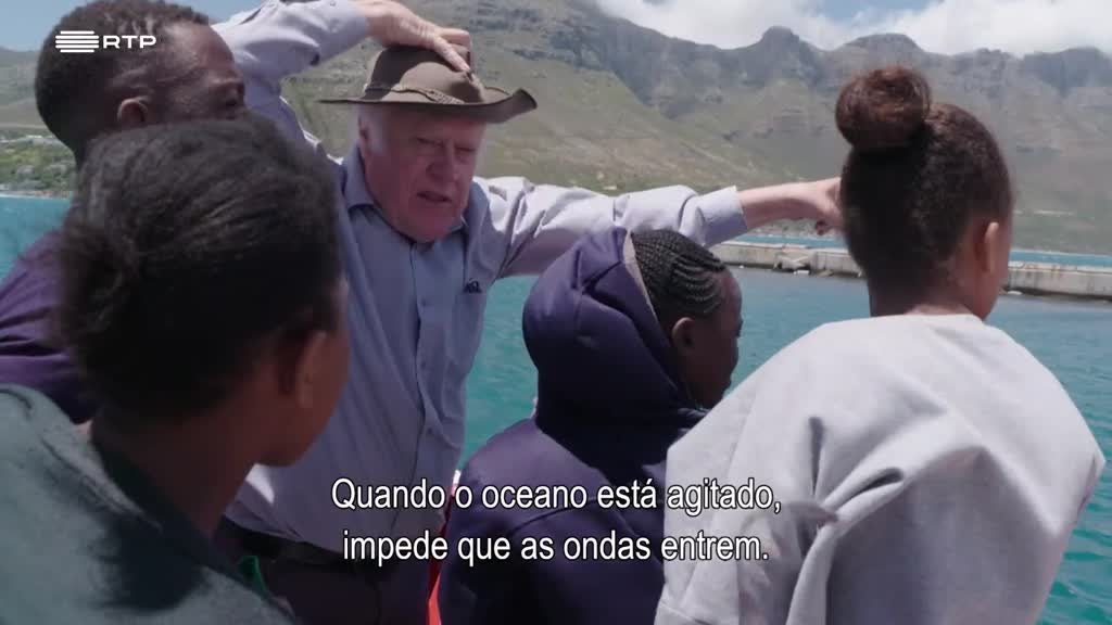 Imagem de Siyaya, Vem Aventurar-te Connosco! - O Cabo das Tormentas - (IV) - Biomassa de Benguela