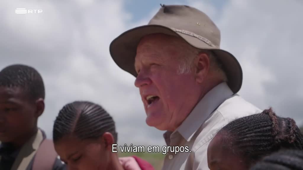 Imagem de Siyaya, Vem Aventurar-te Connosco! - Os Dinossauros do Estado Livre Oriental - (III) - Fósseis em Carne e Osso