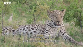 Imagem de O Delta do Okavango - (I) - Em Busca do Para�so