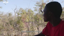 Imagem de O Delta do Okavango - (III) - A Que Dist�ncia Est� a �gua?