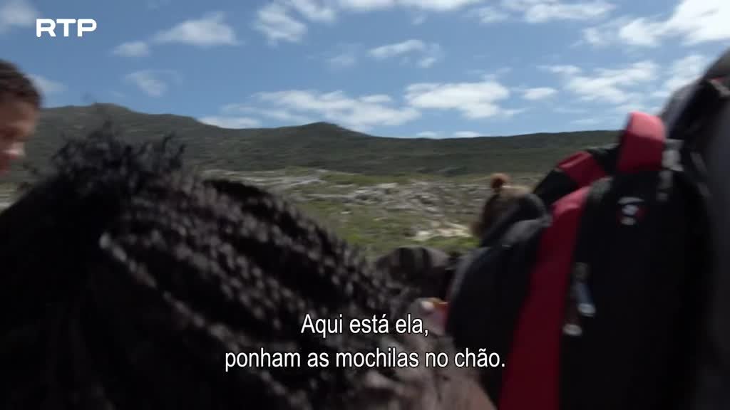 Imagem de Siyaya, Vem Aventurar-te Connosco! - O Cabo da Boa Esperança (I) - Algo Grande na Praia