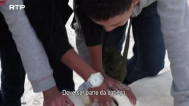 Imagem de O Cabo da Boa Esperan�a (II) - Cruzes e Naufr�gios