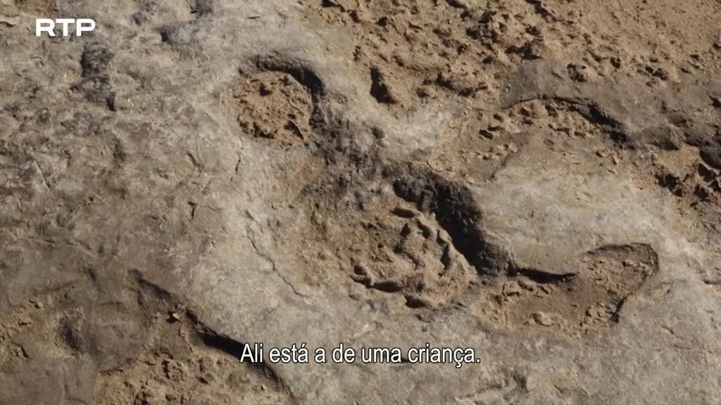 Imagem de Siyaya, Vem Aventurar-te Connosco! - O Deserto do Namibe (III) - Sobrevivendo à Costa dos Esqueletos
