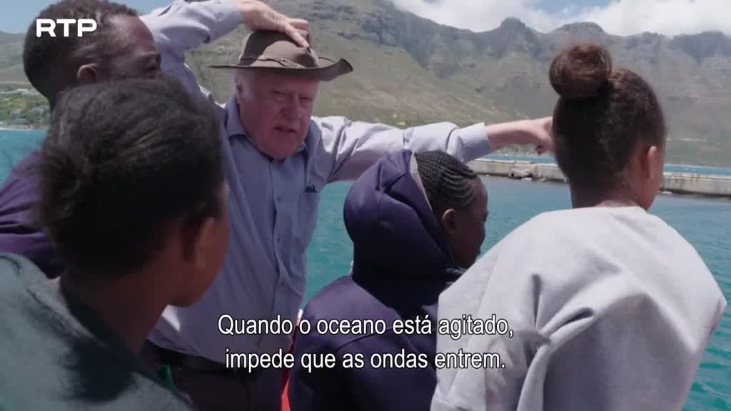 Imagem de Siyaya, Vem Aventurar-te Connosco! - O Cabo das Tormentas - (IV) - Biomassa de Benguela