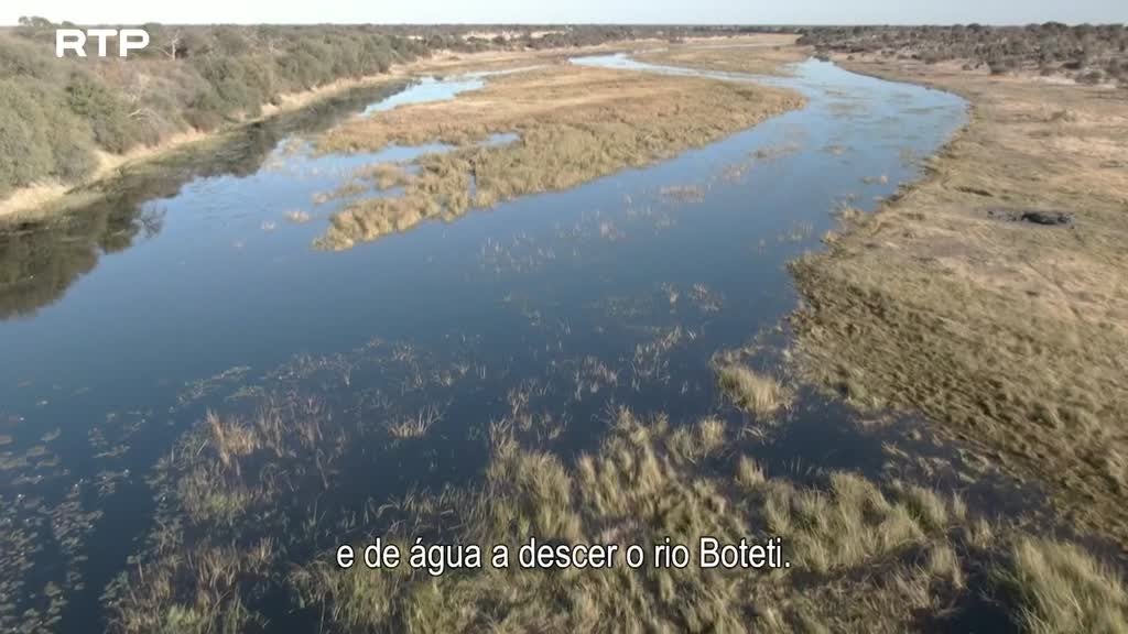 Imagem de Siyaya, Vem Aventurar-te Connosco! - O Rio Boteti - (II) - O Fim do Rio
