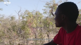 Imagem de O Delta do Okavango - (III) - A Que Dist�ncia Est� a �gua?