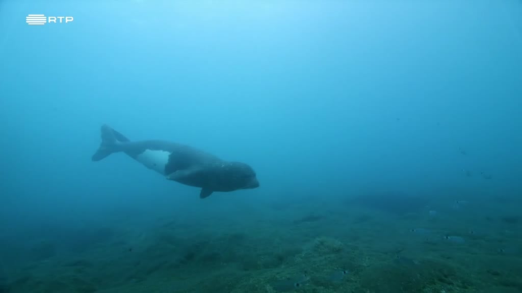 Imagem de Mar, a Última Fronteira - Best Of