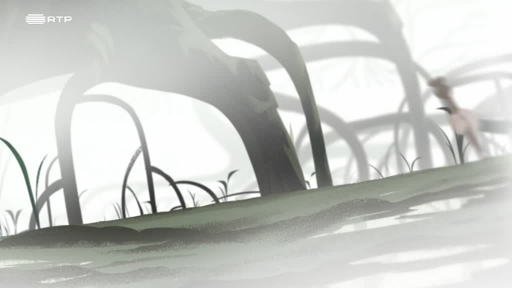 Imagem de O Rio que Corre ao Contrário