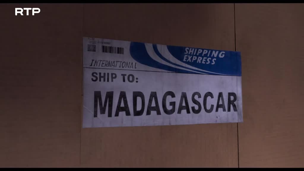 Imagem de Os Pinguins de Madagáscar