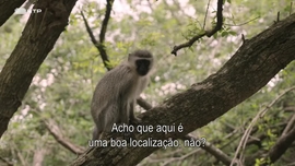 Imagem de Aprender com os Outros