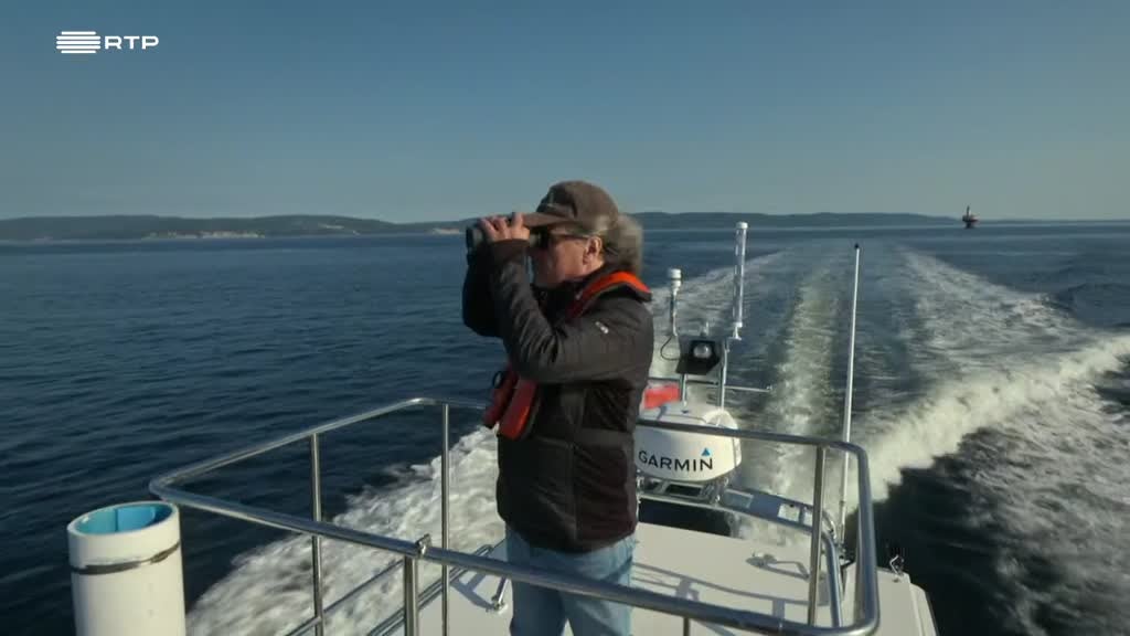 Imagem de Culturas dos Animais - Tradições Partilhadas