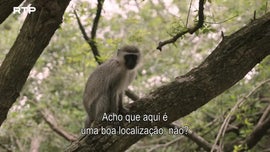 Imagem de Aprender com os Outros