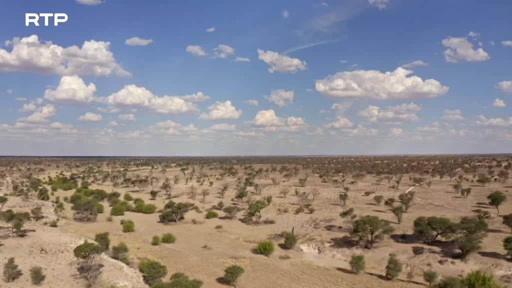 Imagem de Culturas dos Animais