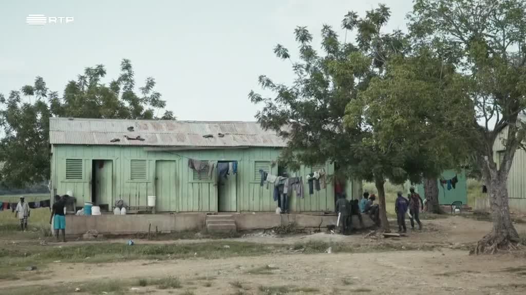 Imagem de A Maldição do Açúcar