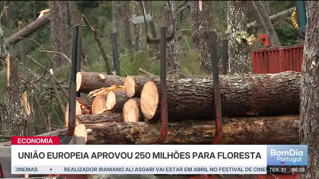 Imagem de Bom Dia Portugal