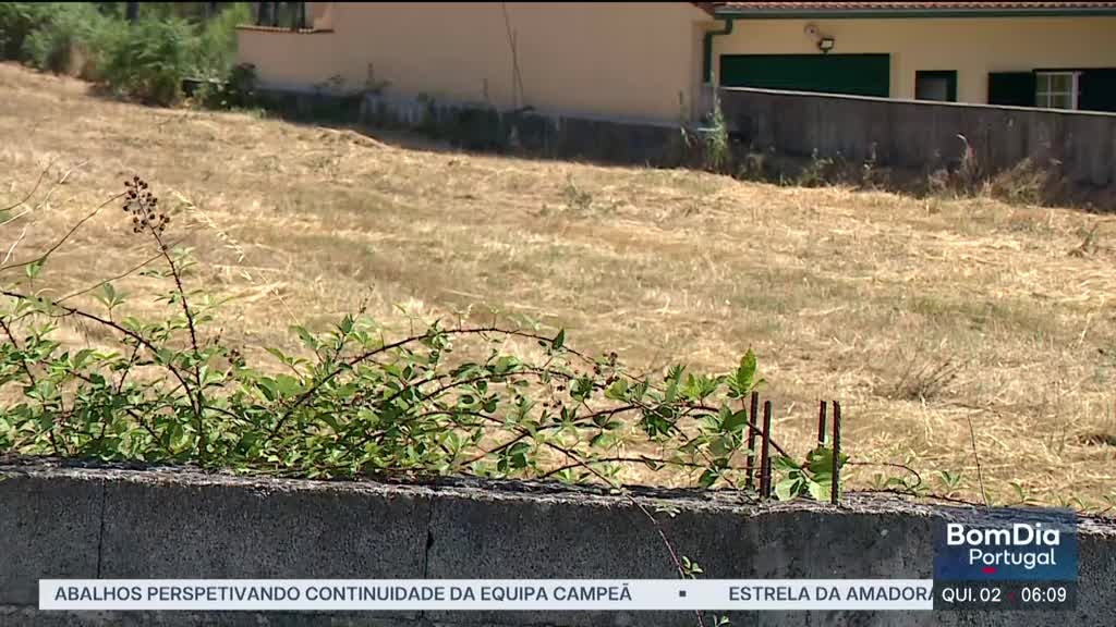 Imagem de Bom Dia Portugal