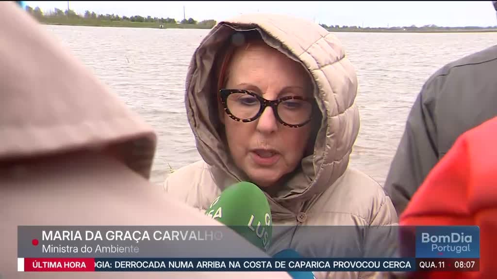 Imagem de Bom Dia Portugal