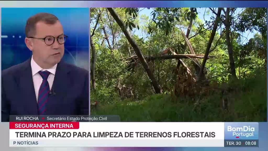 Imagem de Bom Dia Portugal