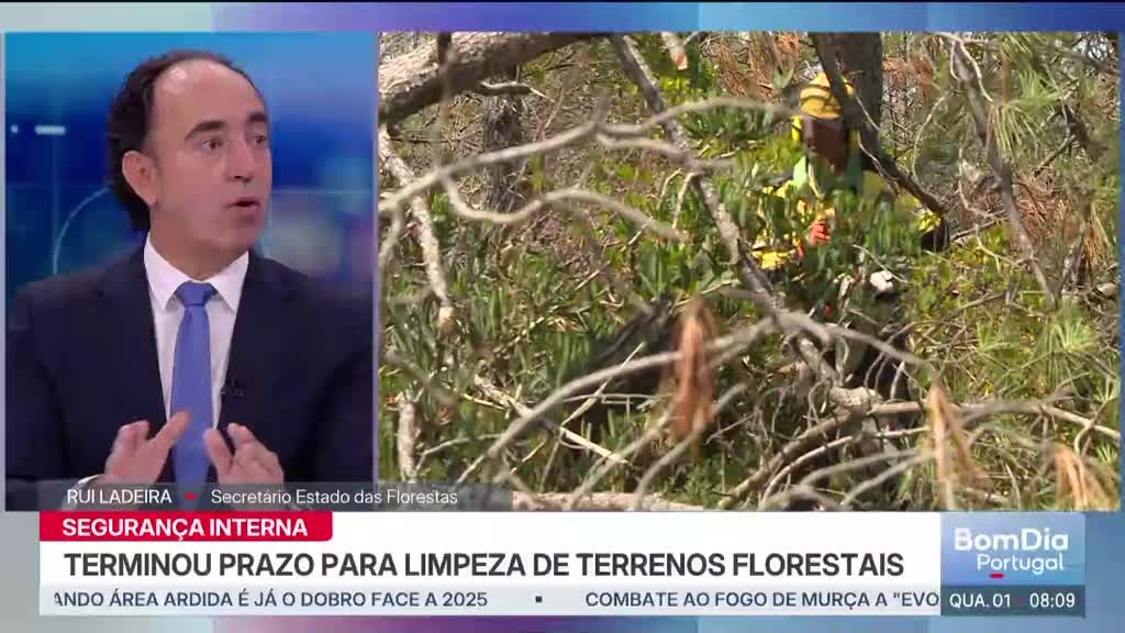 Imagem de Bom Dia Portugal