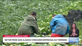 Imagem de Jornal da Tarde