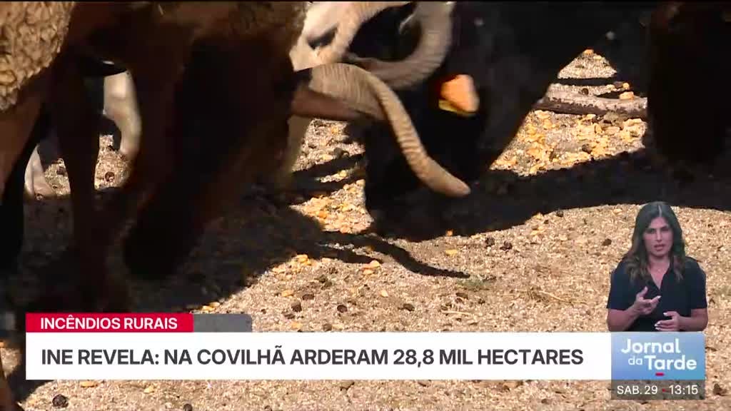 Imagem de Jornal da Tarde