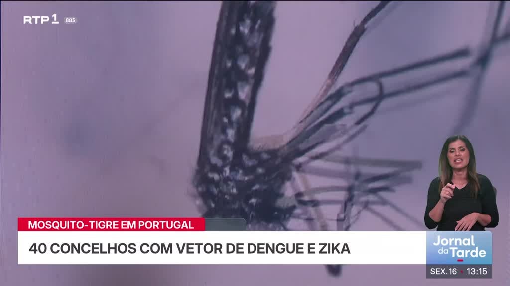 Imagem de Jornal da Tarde