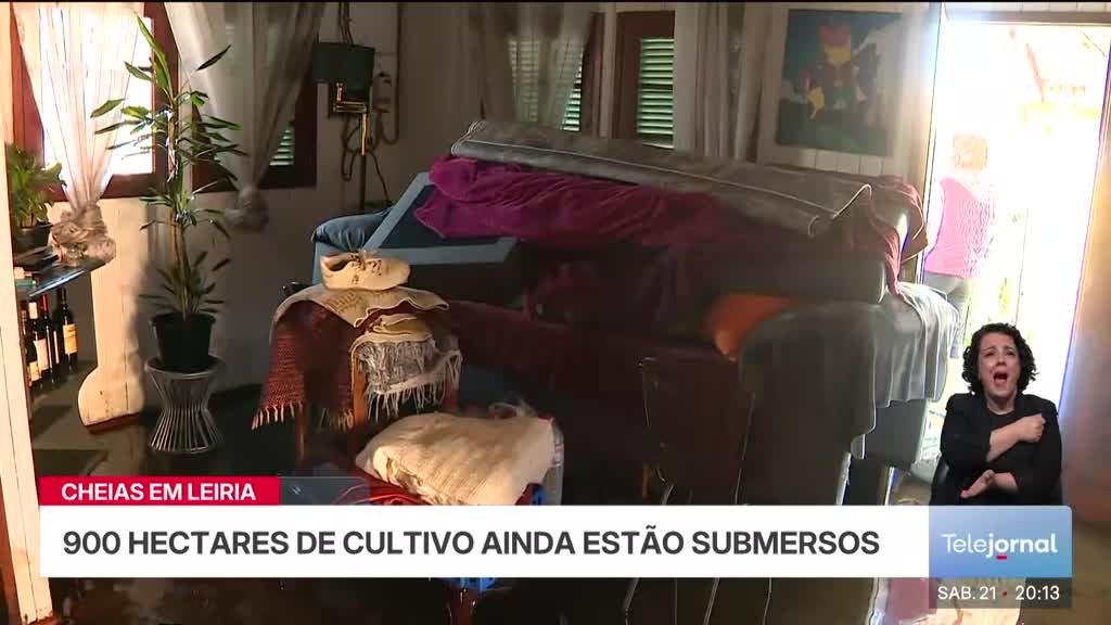 Imagem de Telejornal