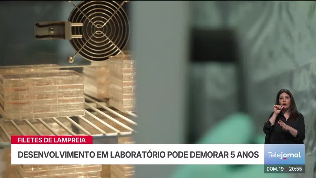 Imagem de Telejornal