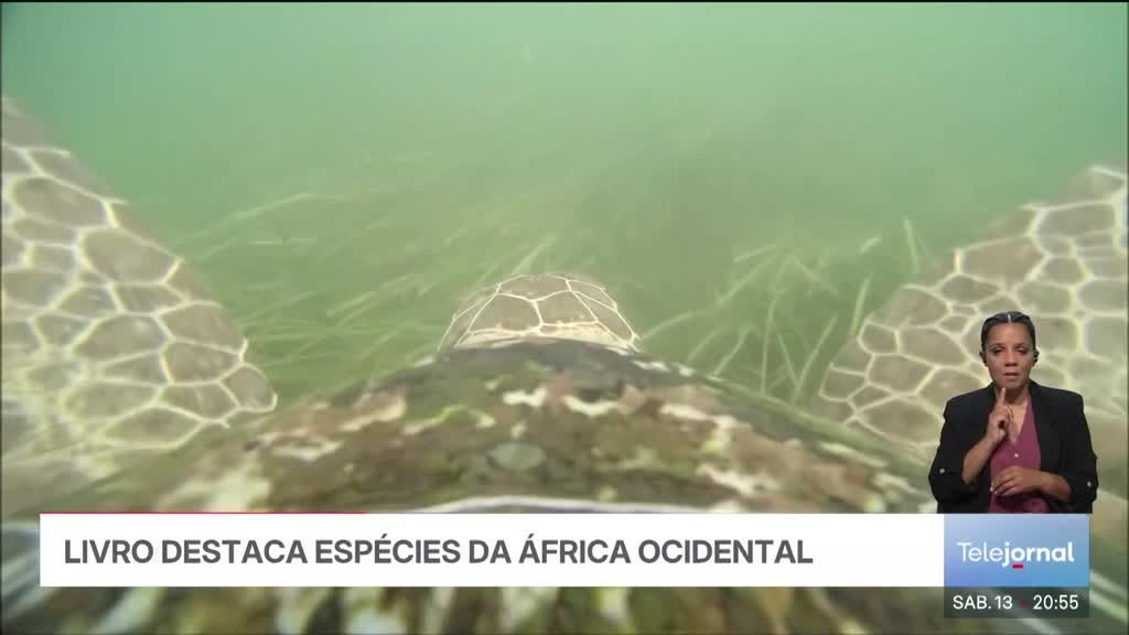 Imagem de Telejornal