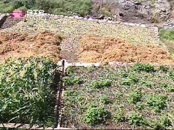 Imagem do Programa / Episiódio - Com os Pés na Terra