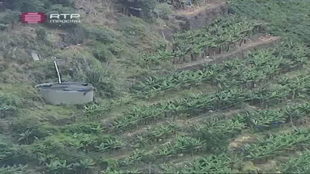 Imagem do Programa / Episiódio - Com os Pés na Terra