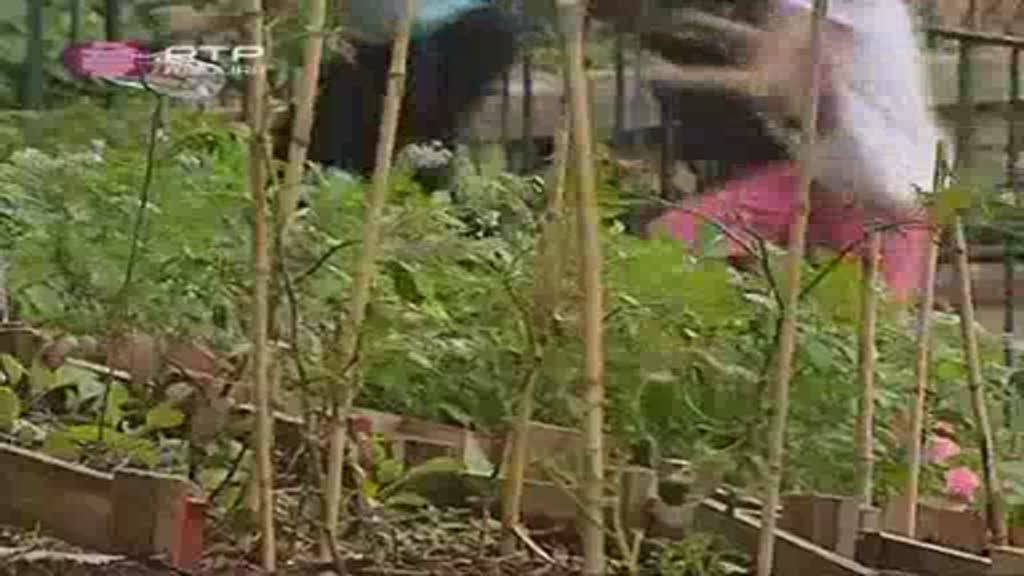 Imagem do Programa / Episiódio - Com os Pés na Terra