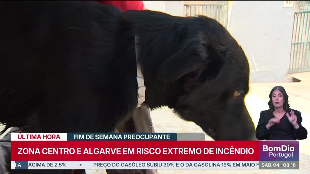 Imagem de Bom Dia Portugal Fim de Semana